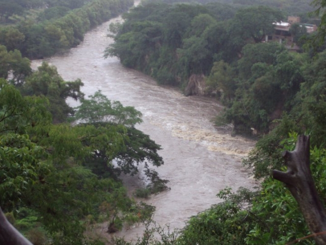 Volando sobre el rio